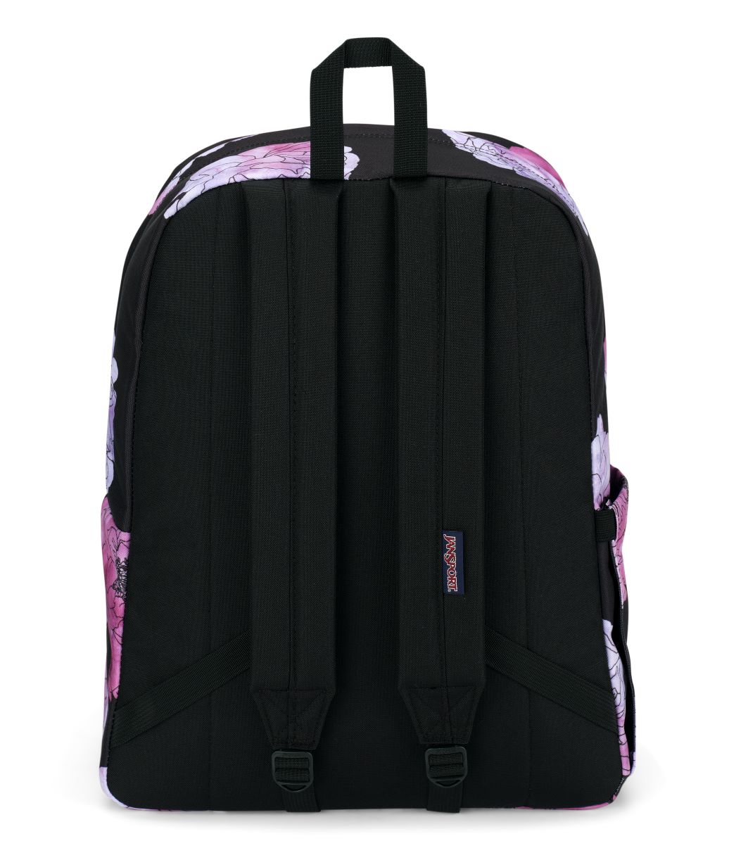 jansport_superbreak-plus_14-14-2024__picture-2216